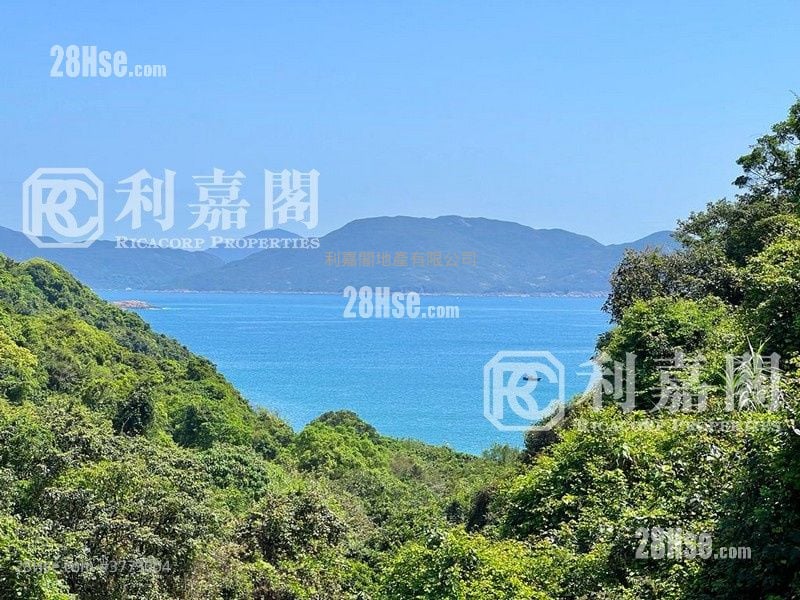 下洋村 售盘 5+ 房 2,100 平方尺