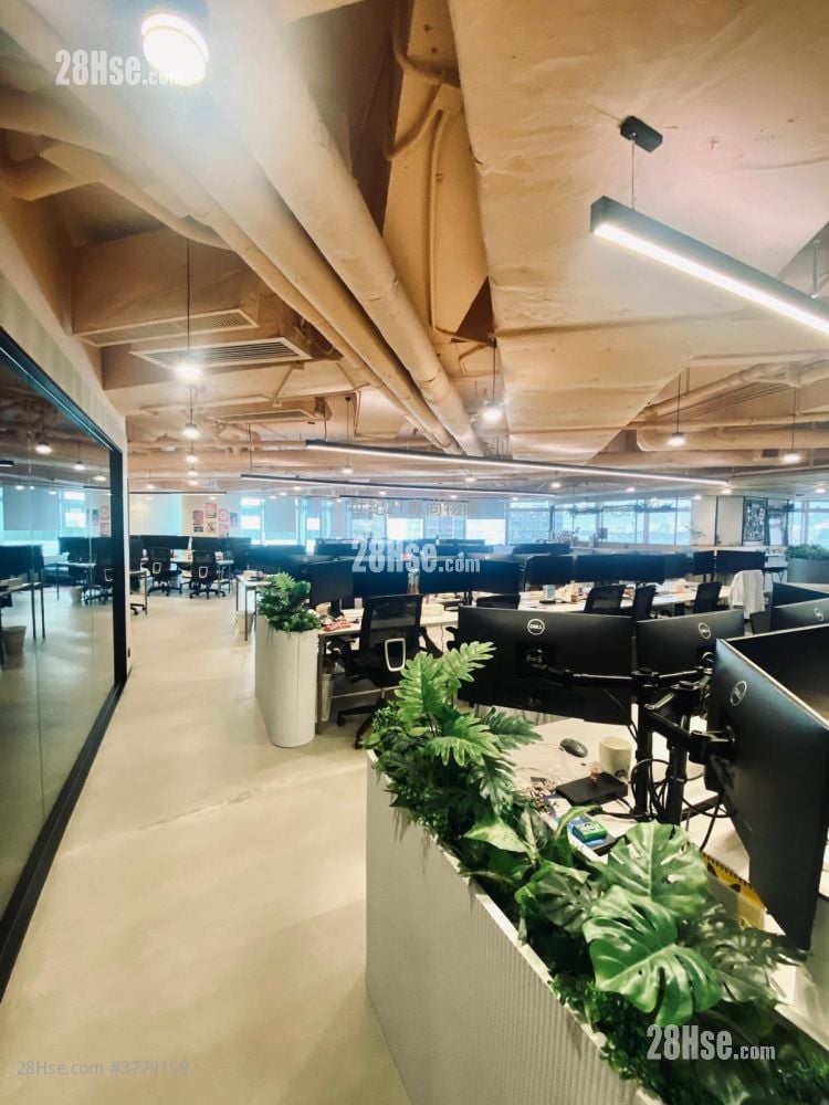 Infinitus Plaza Rental