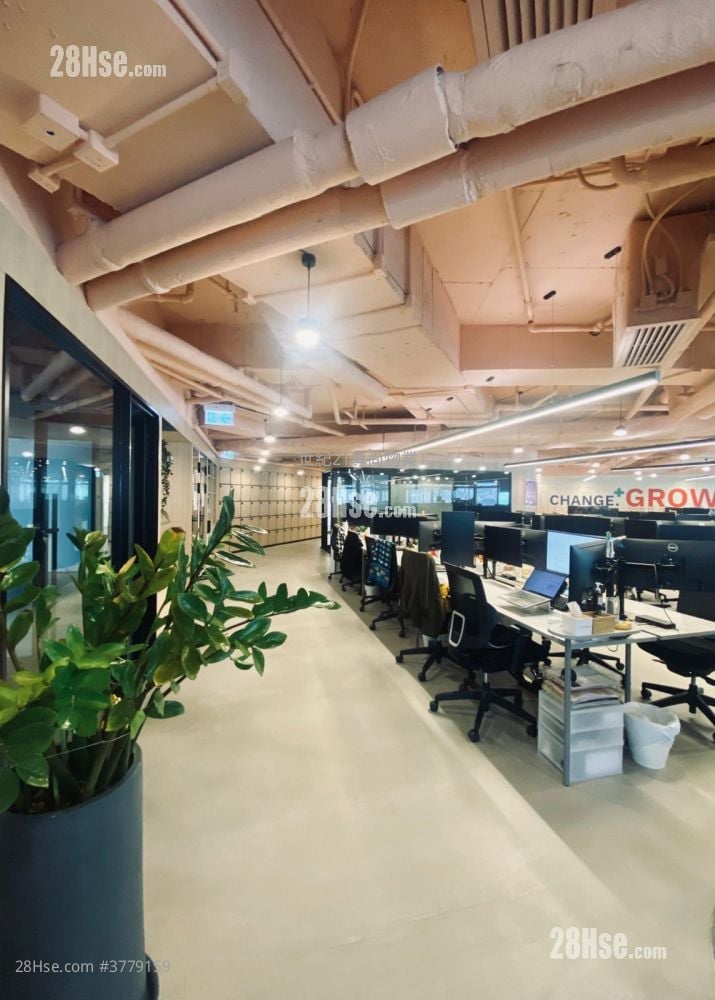 Infinitus Plaza Rental