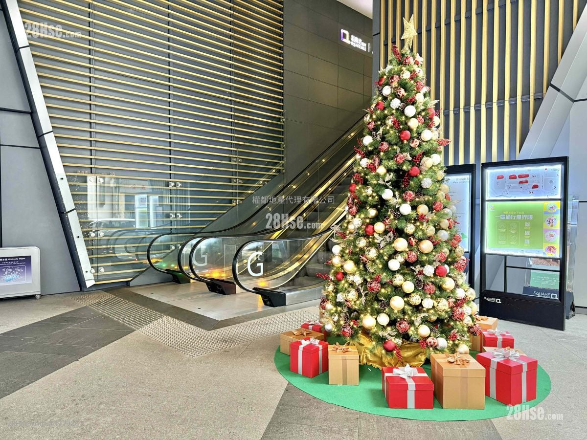 Cetus Square Mile Rental 1 Bedroom , 1 Bathroom 251 ft²