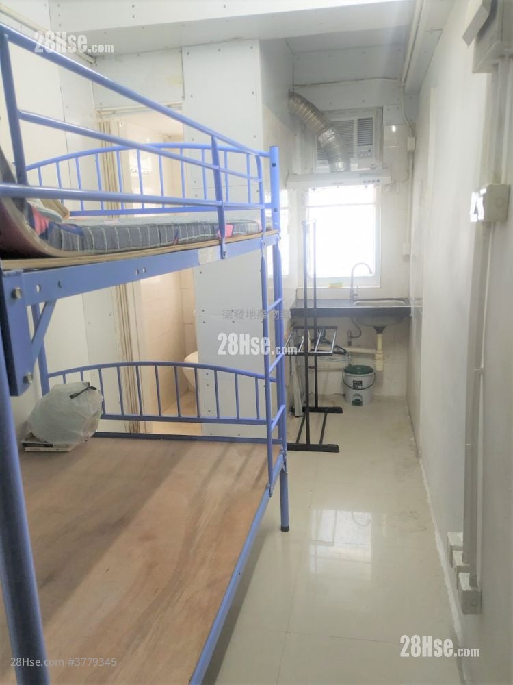 唐楼 售盘 5+ 房 , 5+ 浴室 662 平方尺