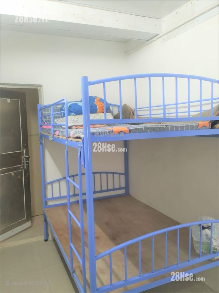 唐楼 售盘 5+ 房 , 5+ 浴室 662 平方尺