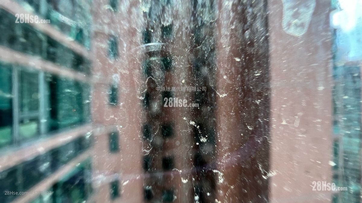 Tierra Verde Rental 2 Bedrooms , 1 Bathroom 522 ft²