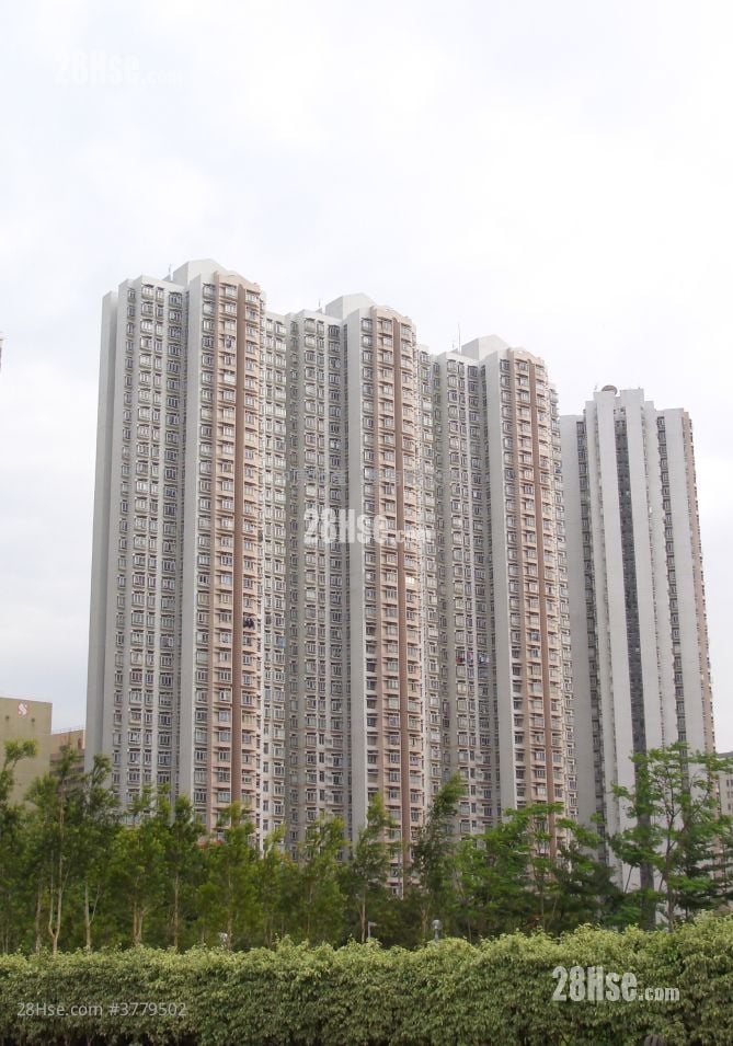 Tierra Verde Rental 2 Bedrooms , 1 Bathroom 522 ft²