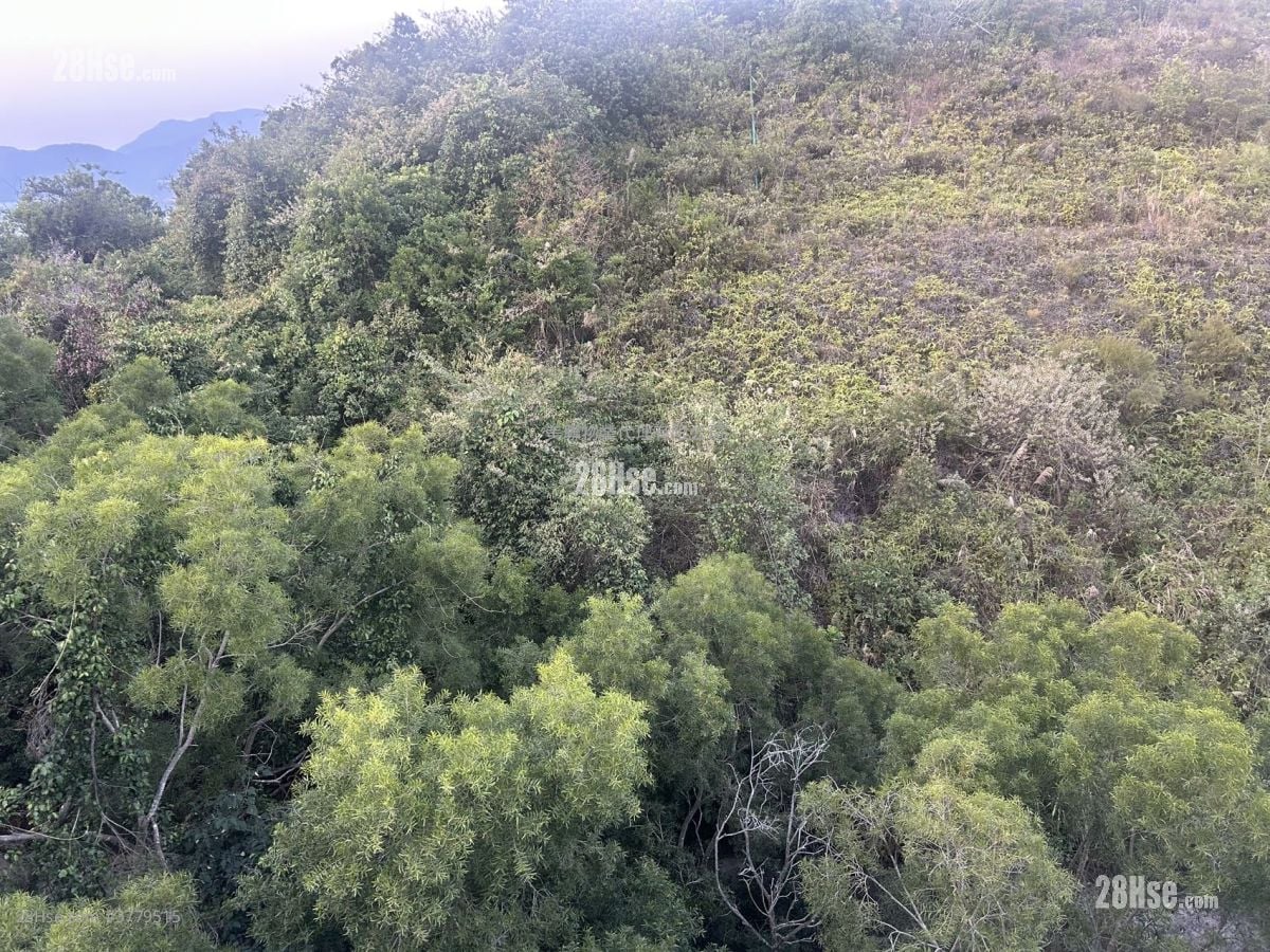 澐沣 售盘 4 房 , 4 浴室 1,535 平方尺