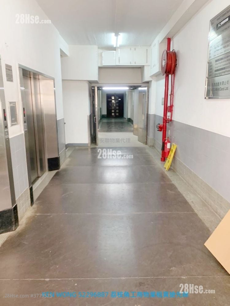 Lai Cheong Factory Building Rental 1 Toilet