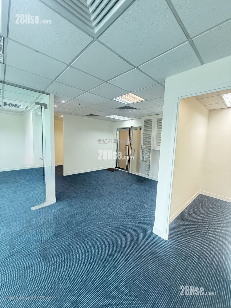 兴发街88号 租盘 5+ 房