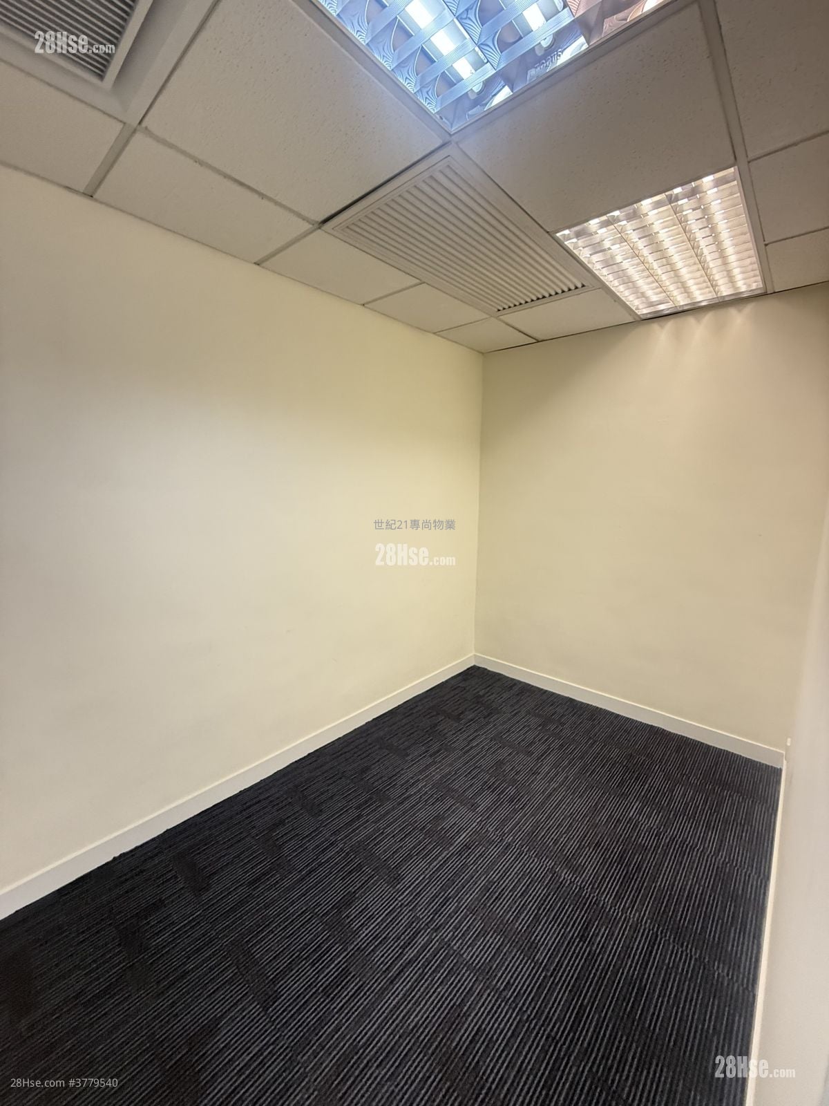 兴发街88号 租盘 5+ 房