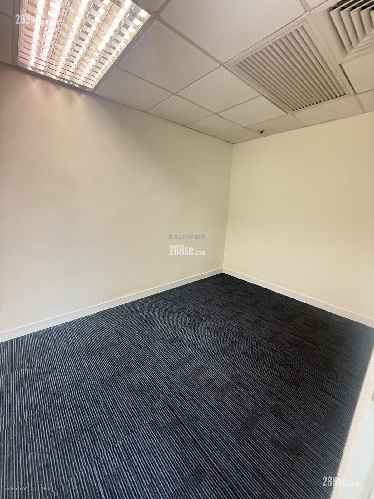 兴发街88号 租盘 5+ 房