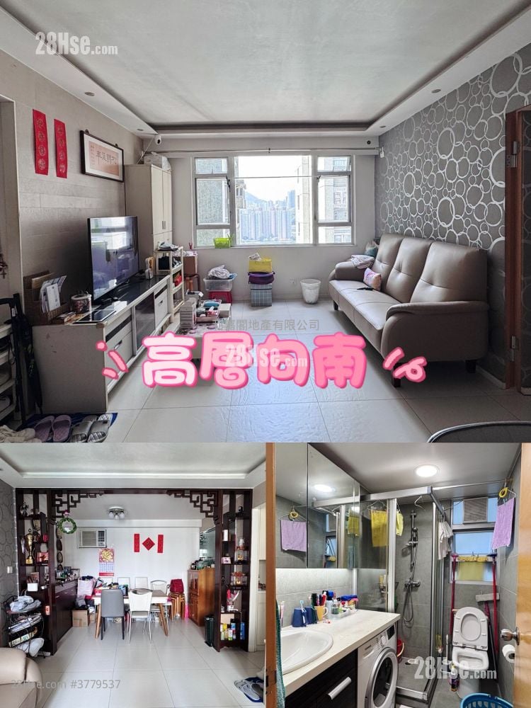 丽城花园 售盘 3 房 728 平方尺