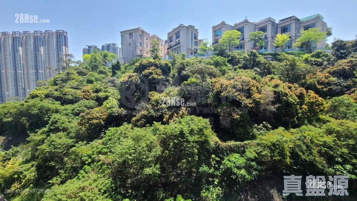 荟荞 售盘 2 房 398 平方尺