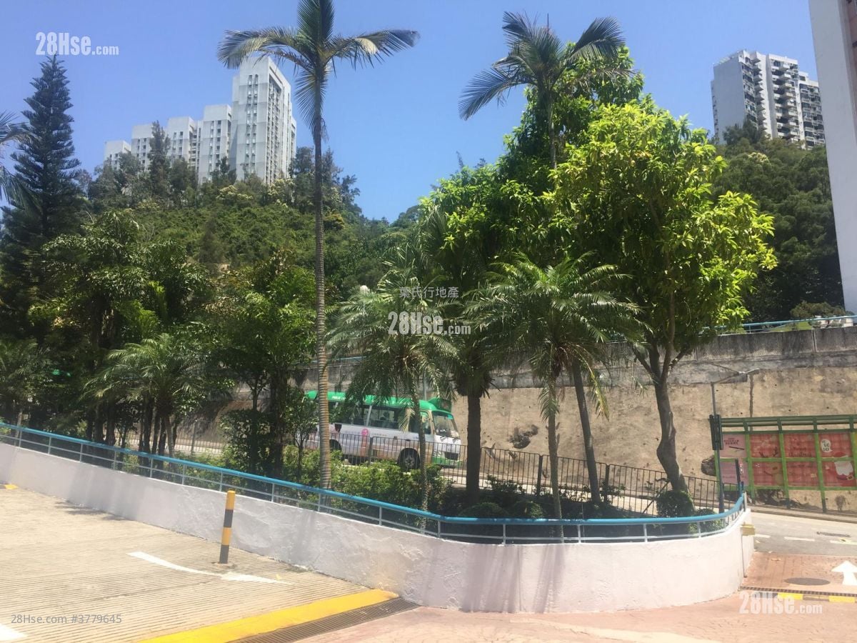 华员邨 租盘 3 房 , 2 浴室 815 平方尺