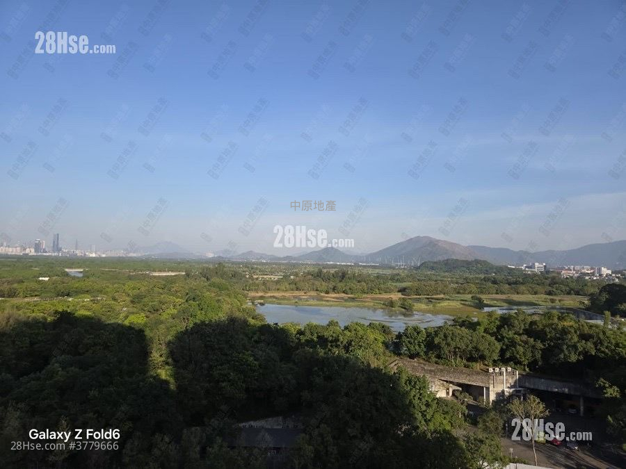 Wetland Seasons Bay Sell 4 Bedrooms 666 ft²