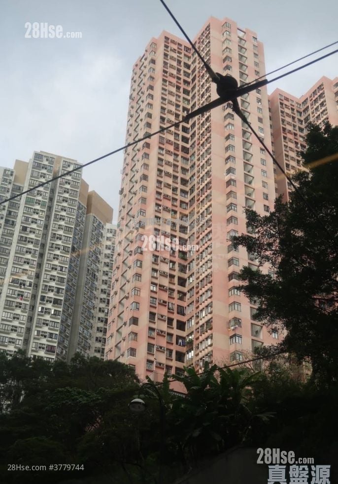 富泽花园 售盘 2 房 650 平方尺