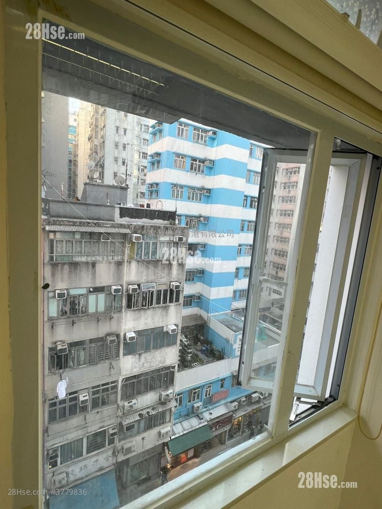 置域商业大厦 租盘