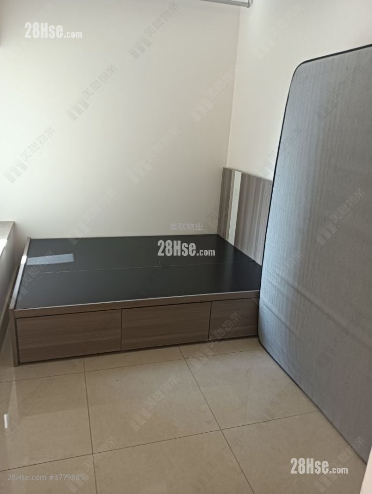 栢慧豪园 租盘 2 房 494 平方尺