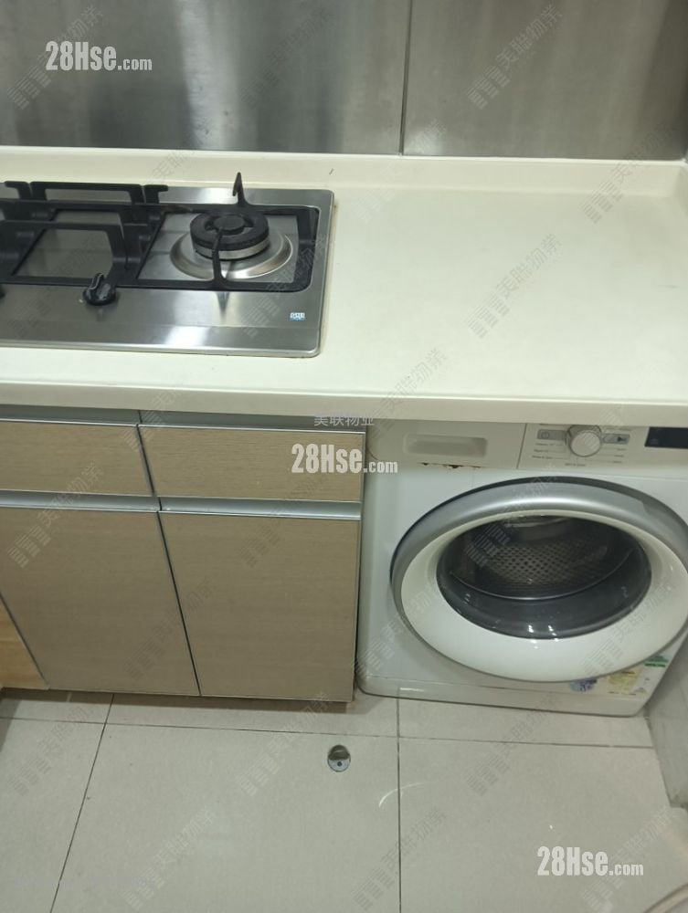 栢慧豪园 租盘 2 房 494 平方尺