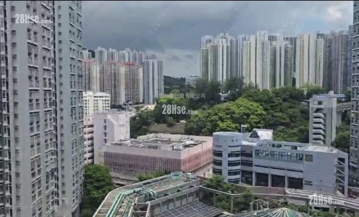 丽港城 售盘 3 房 687 平方尺