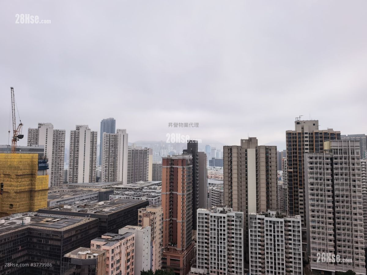 荟点 租盘 开放式间隔 241 平方尺