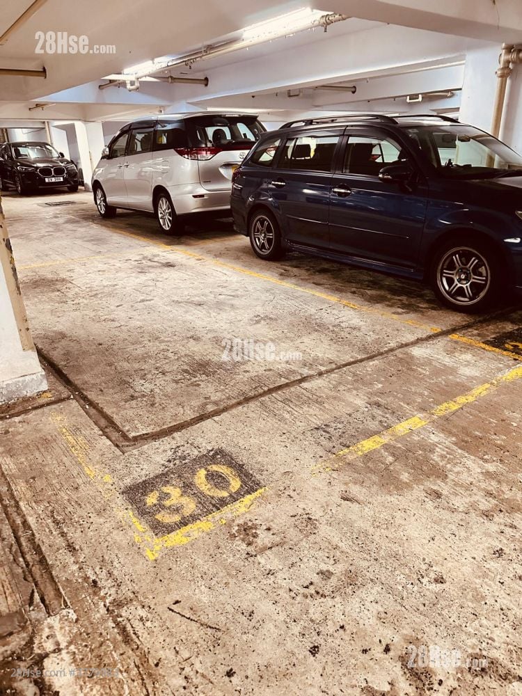 Handsome Court Rental