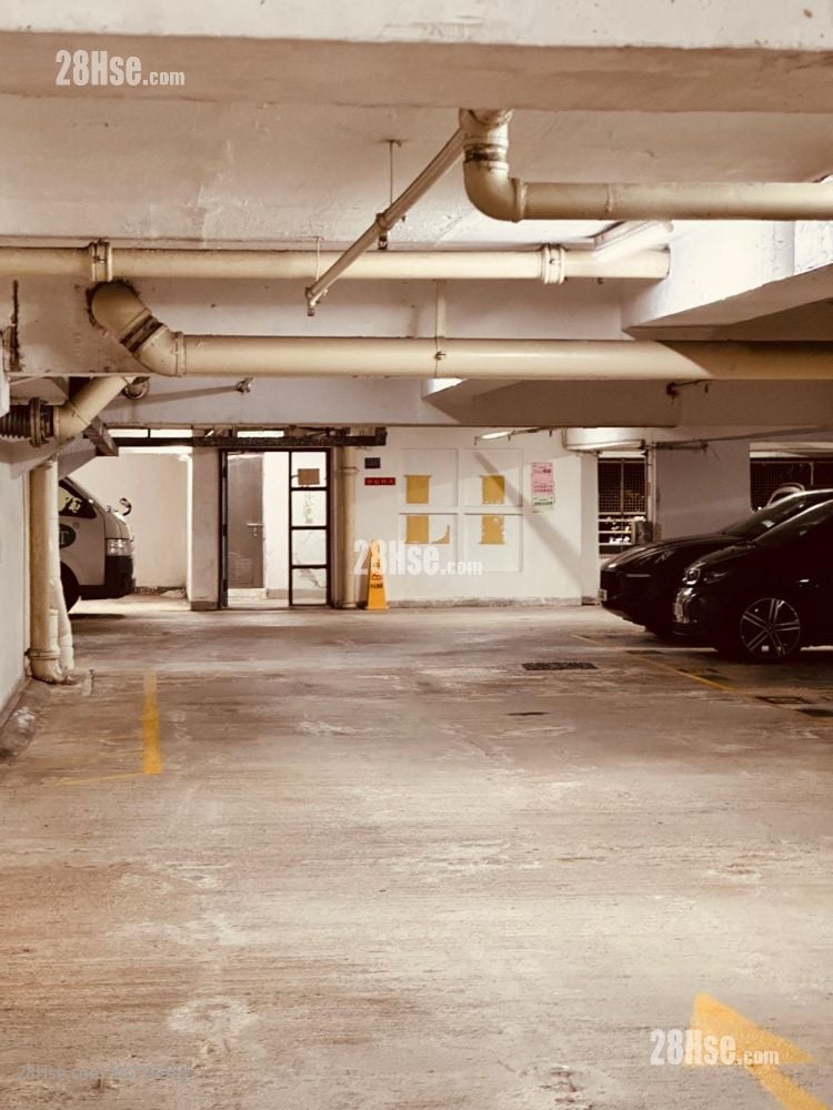 Handsome Court Rental