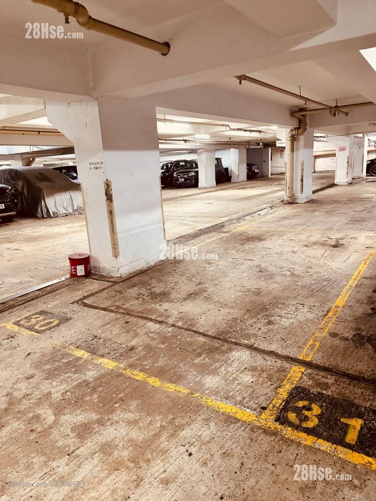 Handsome Court Rental