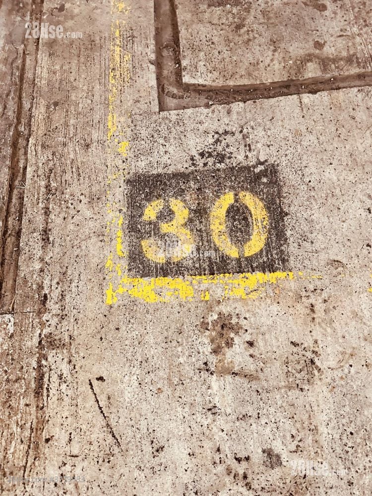 Handsome Court Rental