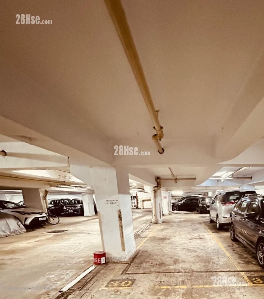 Handsome Court Rental