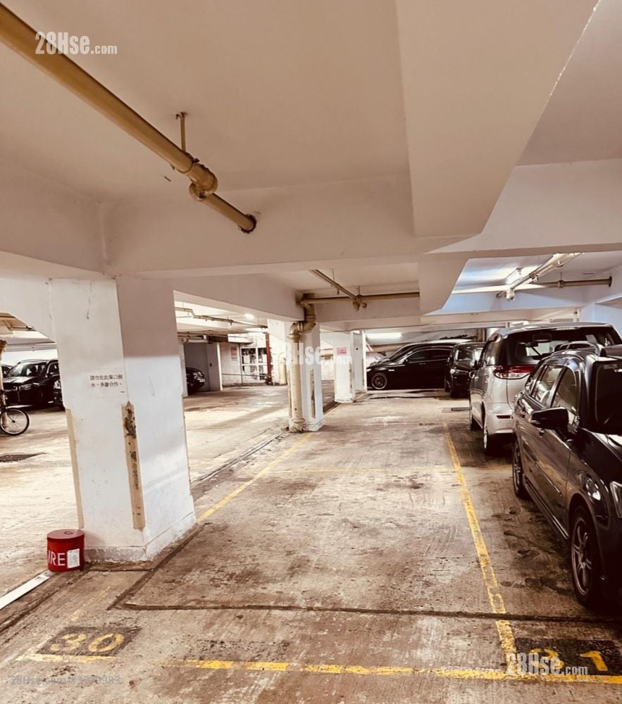 Handsome Court Rental