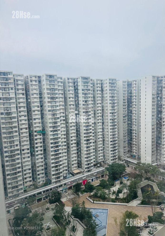 City Garden Sell 3 Bedrooms , 1 Bathroom 568 ft²