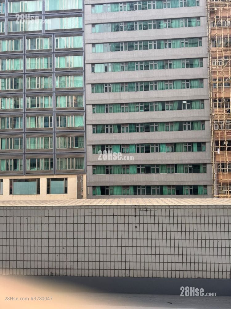 盘谷银行大厦 租盘