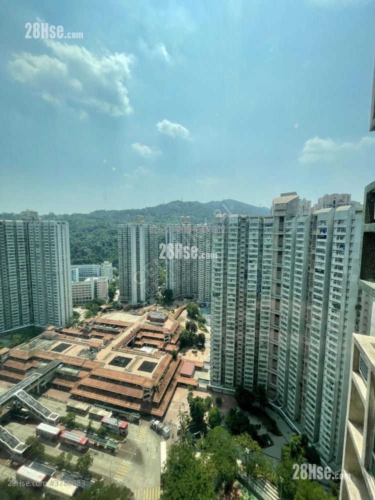 Flora Plaza Rental 2 Bedrooms , 1 Bathroom 526 ft²