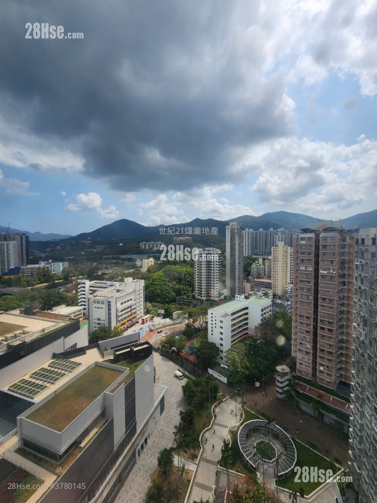 大埔中心 售盘 2 房 315 平方尺