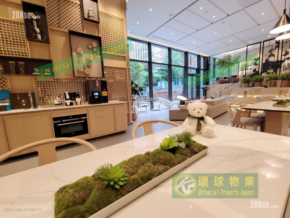 Kennedy 38 Rental 1 Bedroom , 1 Bathroom 292 ft²