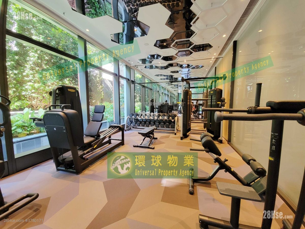 Kennedy 38 Rental 1 Bedroom , 1 Bathroom 292 ft²