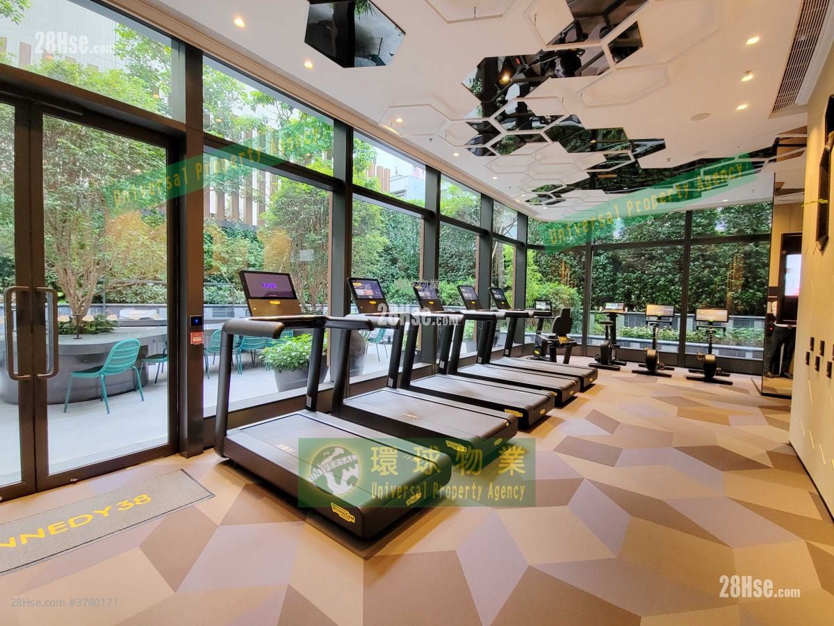 Kennedy 38 Rental 1 Bedroom , 1 Bathroom 292 ft²