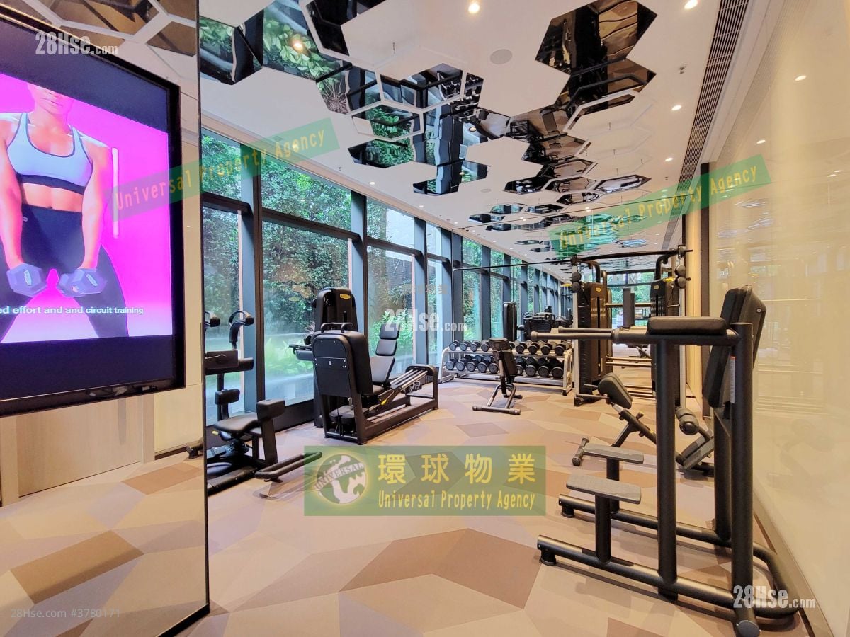 Kennedy 38 Rental 1 Bedroom , 1 Bathroom 292 ft²