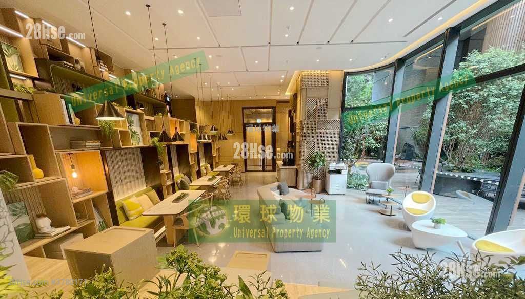 Kennedy 38 Rental 1 Bedroom , 1 Bathroom 292 ft²