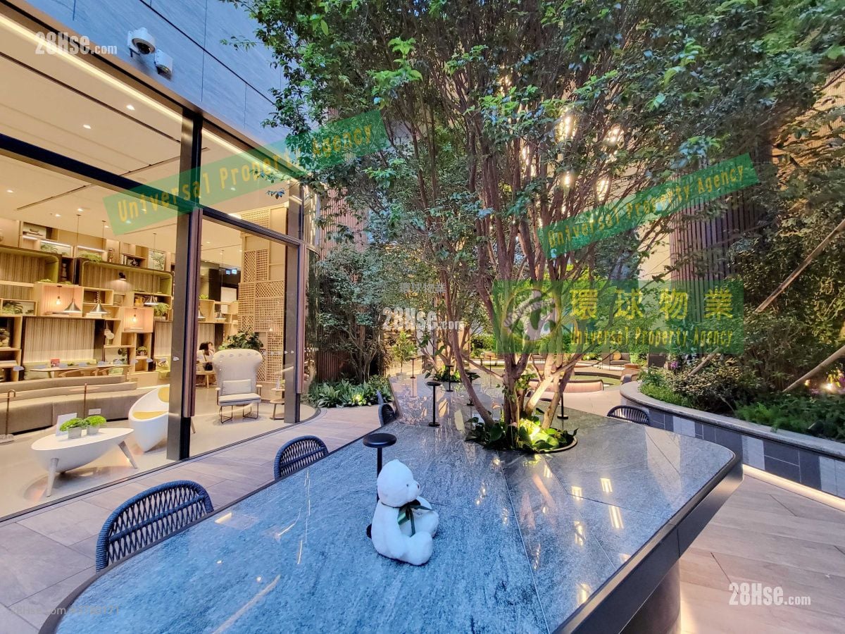 Kennedy 38 Rental 1 Bedroom , 1 Bathroom 292 ft²