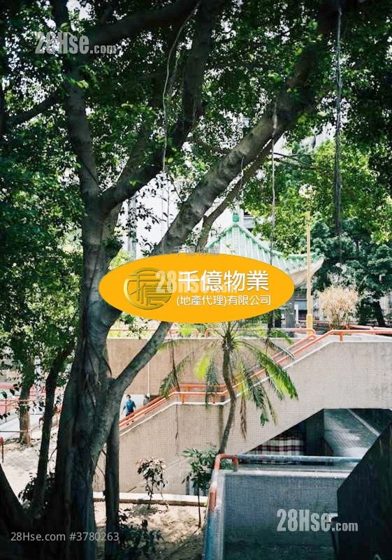 李郑屋邨 售盘 566 平方尺