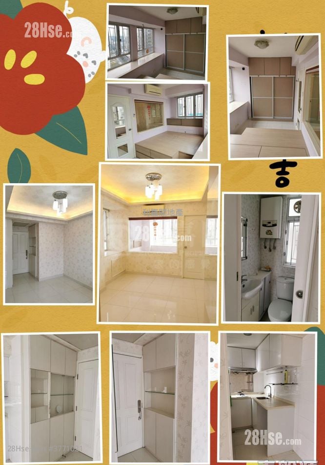 得宝花园 售盘 1 房 282 平方尺