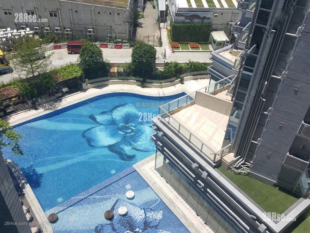 Century Link Rental 2 Bedrooms , 1 Bathroom 445 ft²