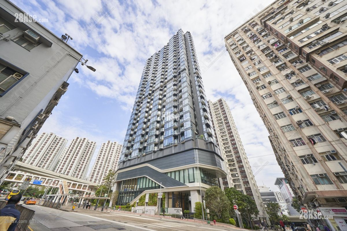 The Holborn 租盘 1 房 , 1 浴室 255 平方尺