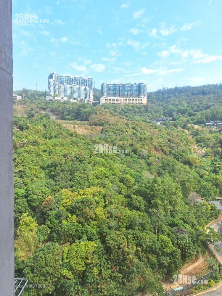 荃湾中心 租盘 2 房 , 1 浴室 378 平方尺