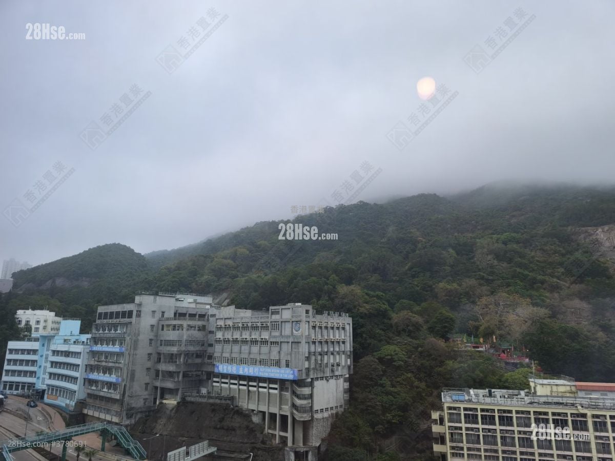 Lime Gala Rental 2 Bedrooms , 1 Bathroom 459 ft²