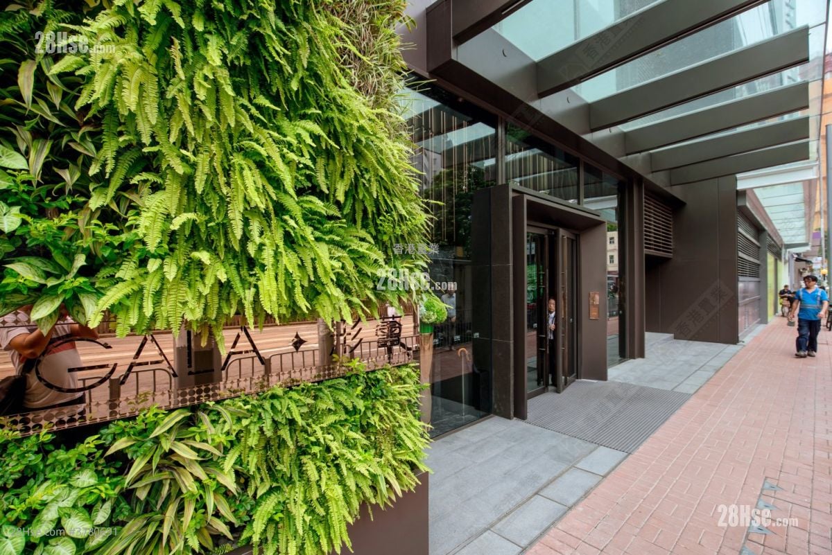 Lime Gala Rental 2 Bedrooms , 1 Bathroom 459 ft²