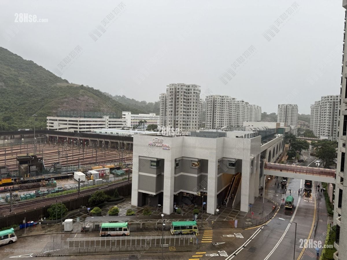 杏花邨 售盘 3 房 , 1 浴室 645 平方尺