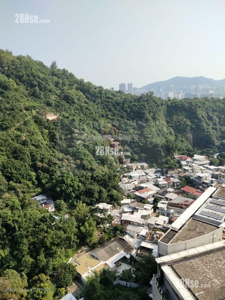 海傲湾 租盘 1 房 , 1 浴室 262 平方尺