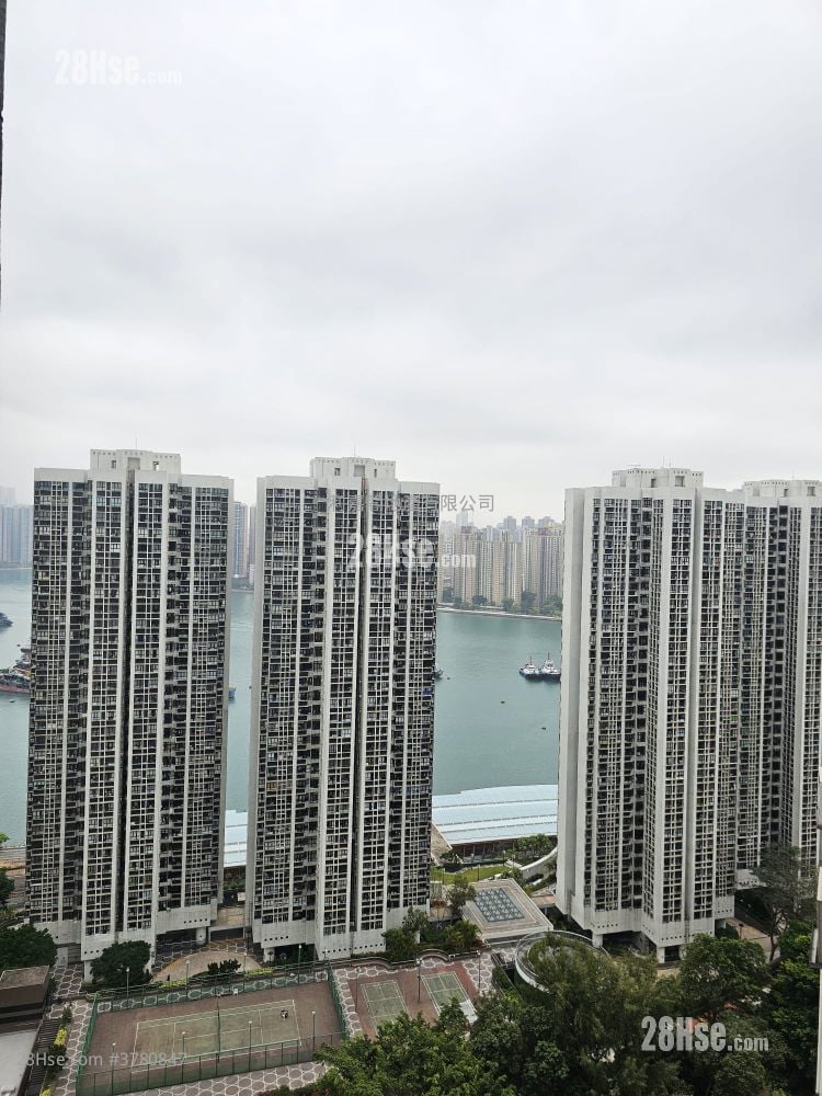 Belvedere Garden Rental 3 Bedrooms , 2 Bathrooms 668 ft²