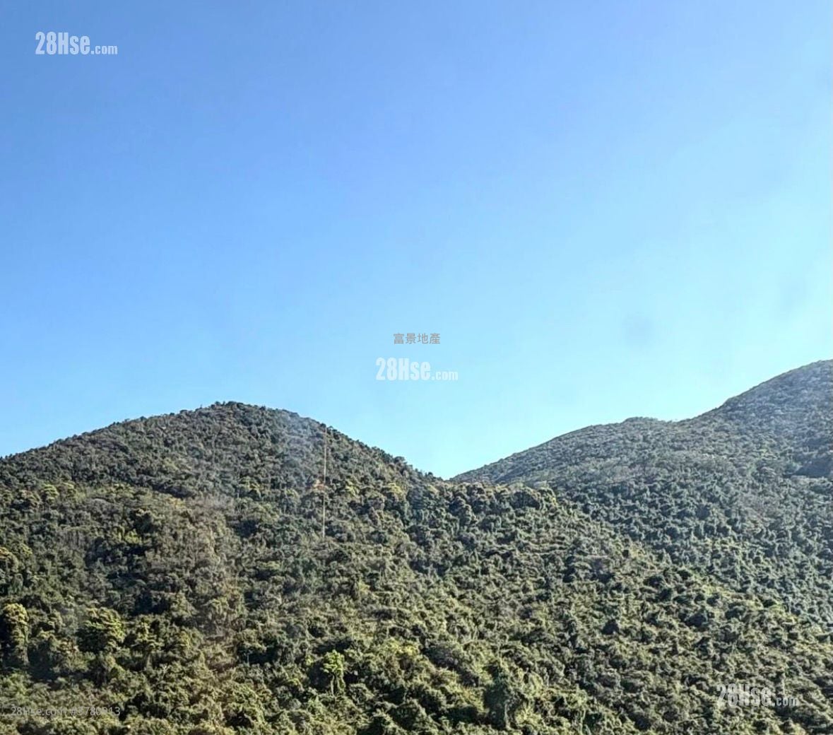 富景花园 售盘 3 房 592 平方尺